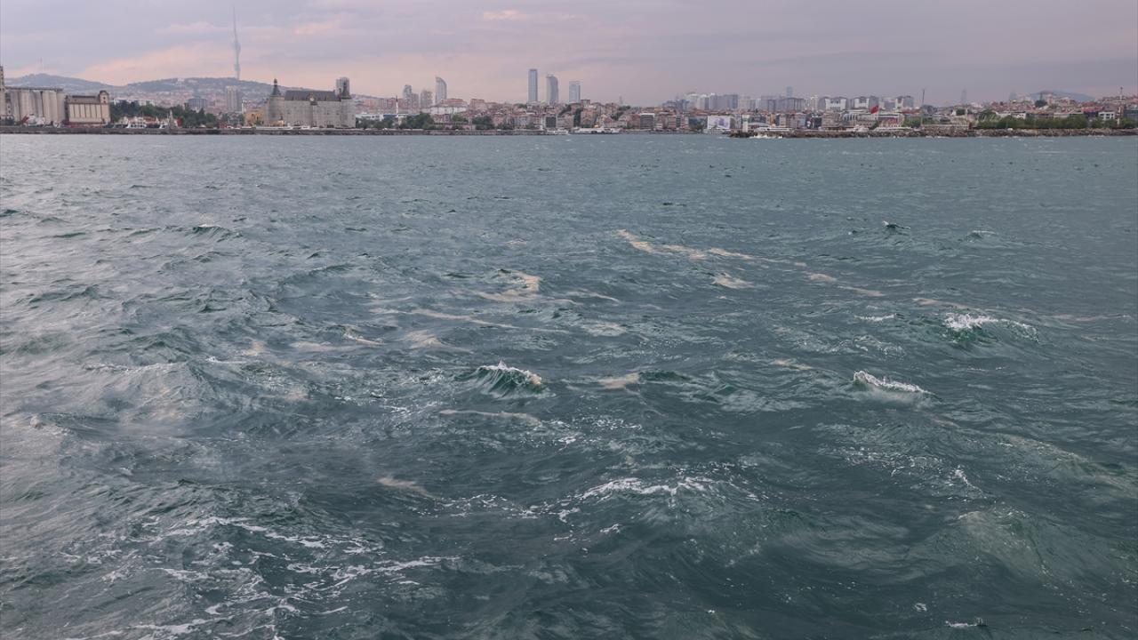 “Benzer insan baskıları Karadeniz ve Akdeniz’de de var”