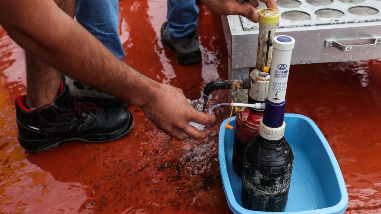 Türkiye uluslararası projeye liderlik edecek