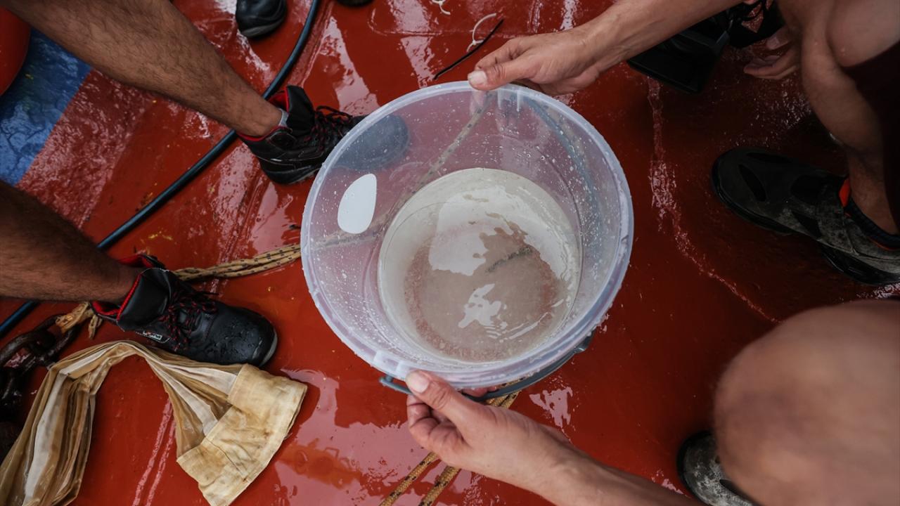 "Kirliliğin düzeyini söylemek şu anda mümkün değil"