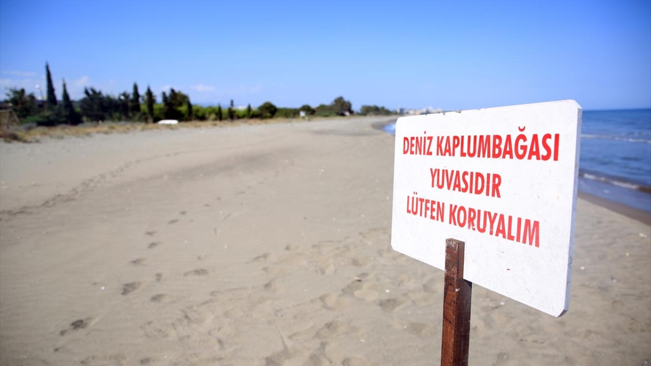 "Yuvaları havadan tespit ediyoruz"