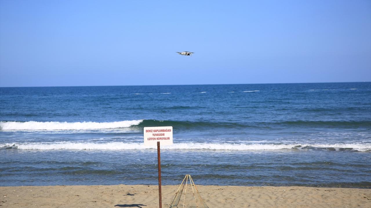 "Deniz kaplumbağalarının korunması oldukça önemli"