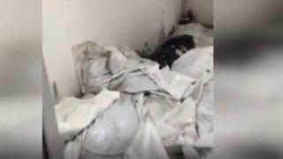 Ermenistan'da asker cenazelerinin durumu aileleri kızdırdı