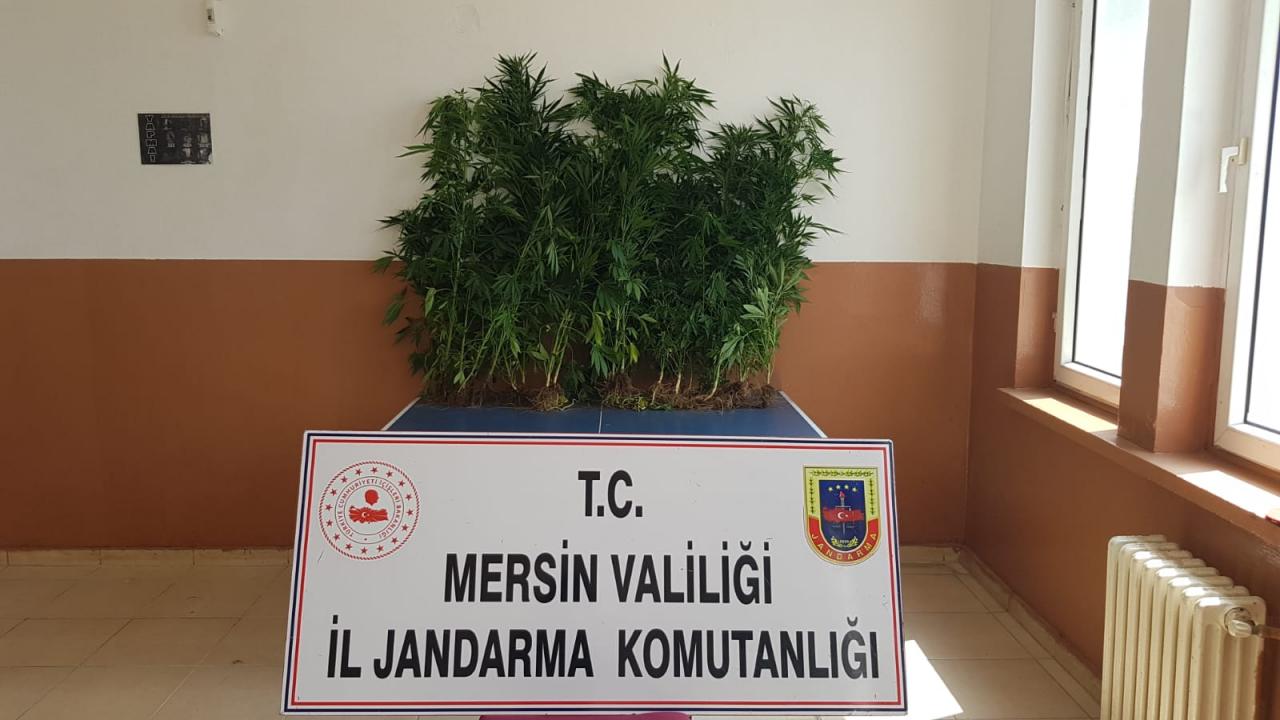 Mersin'de uyuşturucu operasyonu: 5 gözaltı