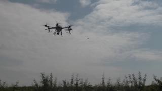 Tarımda 'ZİHA' dönemi