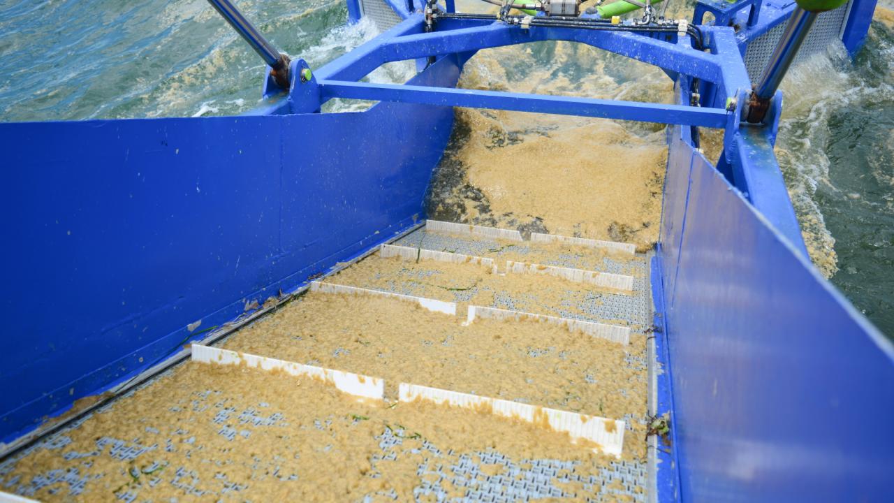 "Bu tür maddeler tarımda, toprakta verimi artırma özelliklerine sahip"