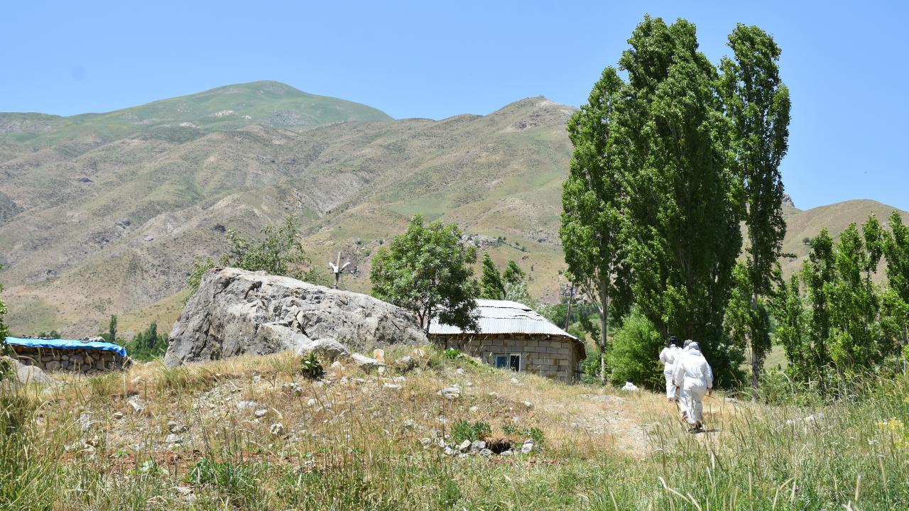  "50-60 yaş arasında oranımız düşük"