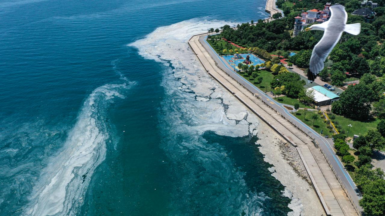 İstanbul Anadolu Yakası