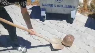 Çöp konteynerine atılan kaplumbağaları çocuklar kurtardı