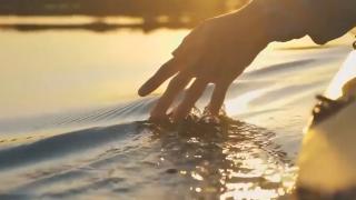 Cumhurbaşkanı Erdoğan'dan Dünya Çevre Günü paylaşımı