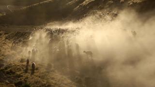 Sürülerin Nemrut Dağı'na yolculuğu başladı