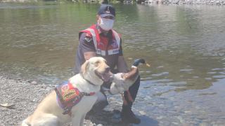 İz takip köpeği ‘Pipet’ ördek dostunun yardımına koştu