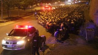10 bin koyun trafiği aksattı, polis ekipleri devreye girdi