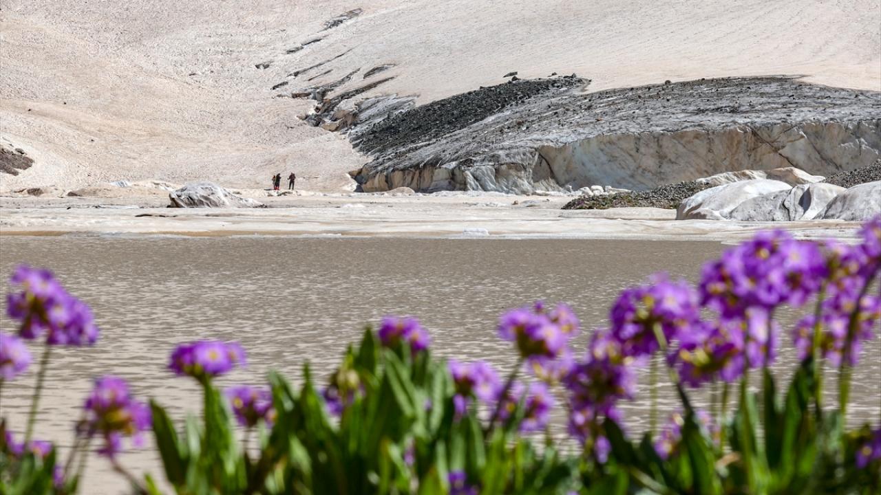 "Buzulları görmek için Alaska`ya gitmeye gerek yok"