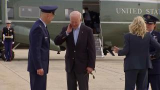 Biden da ağustos böceklerinden payını aldı