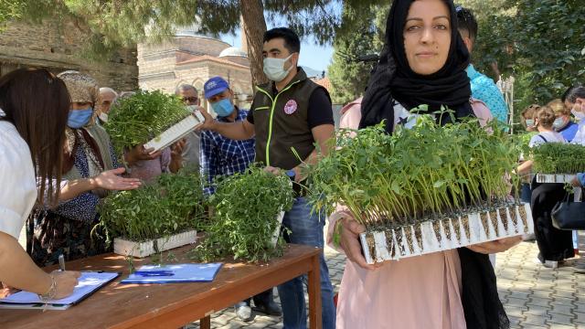 Tirede kadınlara 14 bin domates fidesi dağıtıldı
