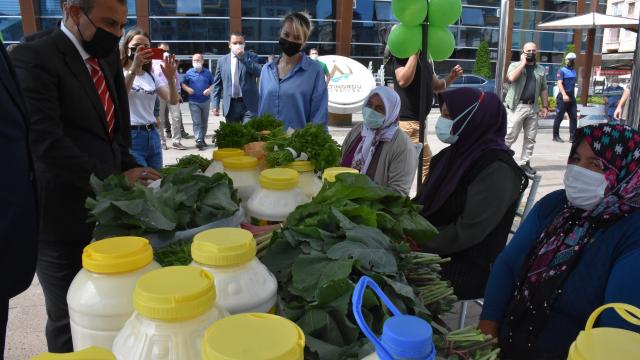 Orduda geleneksel köylü pazarındaki kadın üreticilere 500er liralık destek