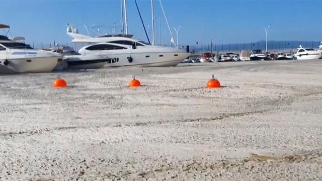 Bilim insanları müsilaj sorununa acil çözüm için YÖKte toplanacak