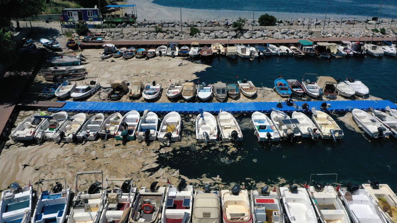 Gemlik Körfezi'nde müsilaj görülmeye devam ediyor