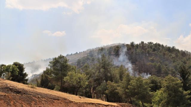 Şanlıurfada çıkan örtü yangını kontrol altına alındı