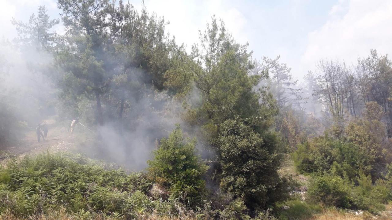 Osmaniye'de tarlada çıkan ve ormanlık alana sıçrayan yangın kontrol altına alındı