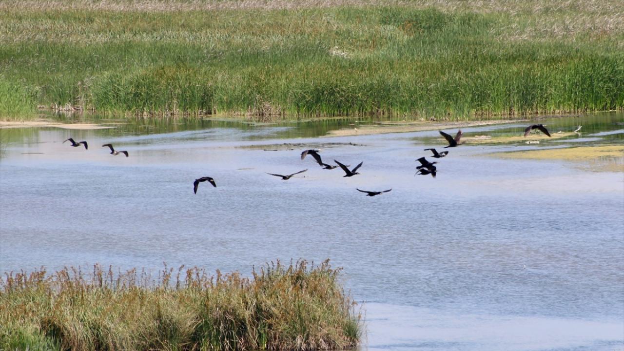 "Kano sporu ve kuş fotoğrafçıları için bulunmaz bir yer"