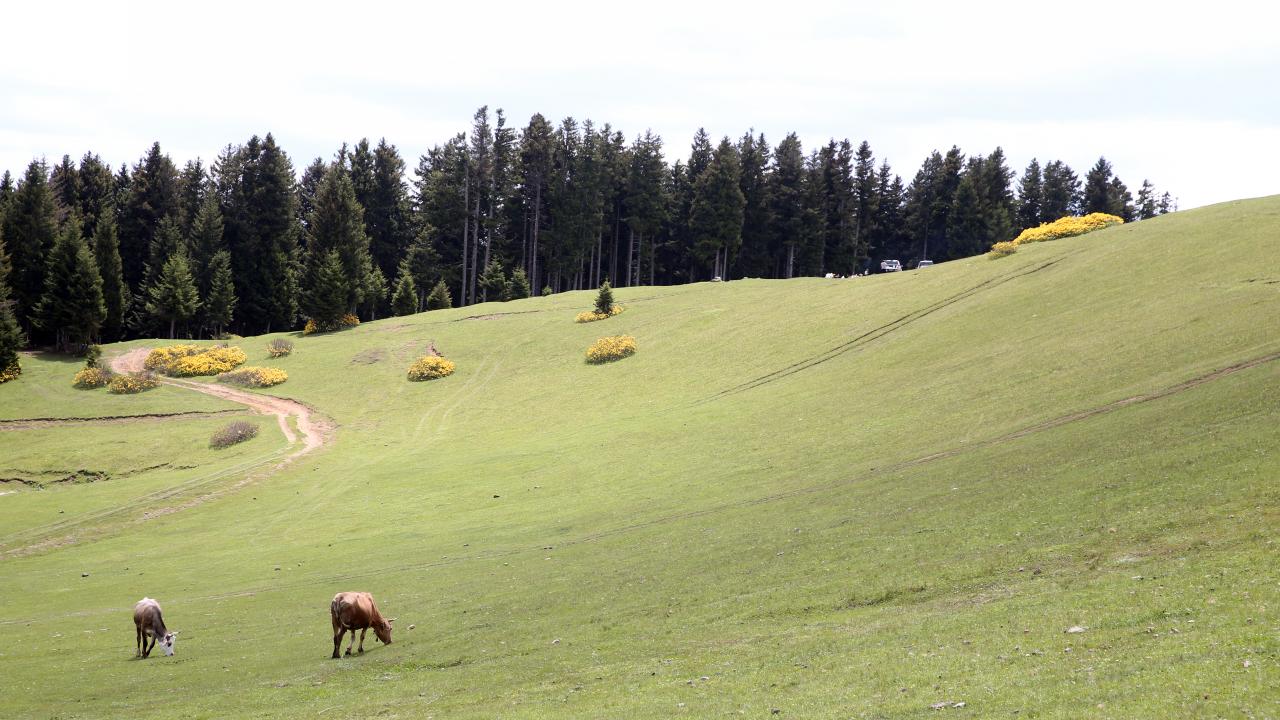 "Yaz için tüm tedbirlerimizi aldık, daha yoğun turist ilgisi bekliyoruz"