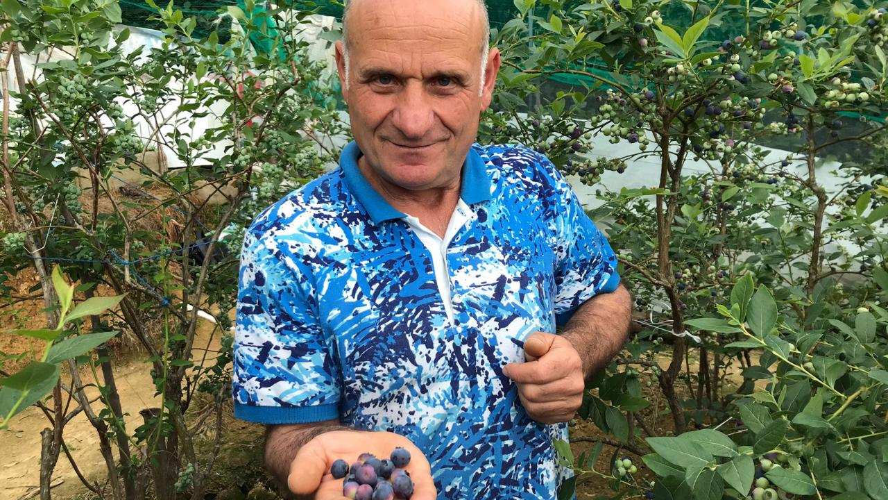 "Yılda ortalama 100 bin TL geliri var"