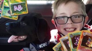 Köpeğinin ameliyatı için oyun kartlarını satışa çıkardı