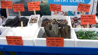 Lastikler, çöp konteynerleri, kasalar...Hepsi denizden çıktı