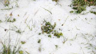 Kayseri'de dolu yağışı ekili alanlara zarar verdi