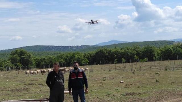 Kaybolan koyunlar dronla bulundu