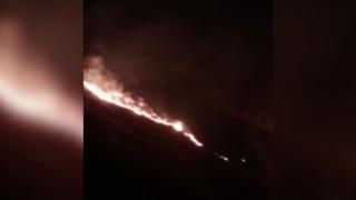 Elazığ'da örtü yangını