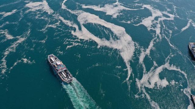 Marmara Denizinden 5 günde 1700 metreküp müsilaj temizlendi