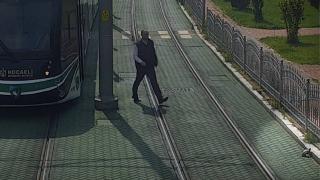 Vatman tramvayı durdurdu, raylardaki kaplumbağaya yardım etti