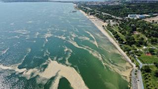 Müsilaj, Bakırköy sahilini de sardı