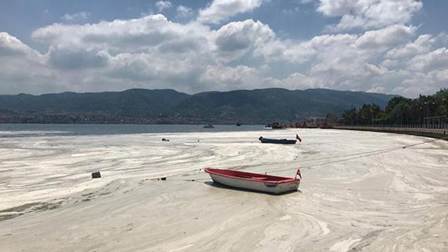 Meteoroloji Uzmanı Özdemir: Hava sıcaklığı müsilajı daha da artırabilir