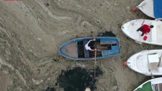 Müsilaj yeni bir doğa olayı değil