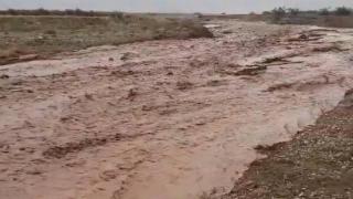 Tarım arazileri zarar gördü