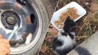 Yavru kedi tekerlek sökülerek kurtarıldı