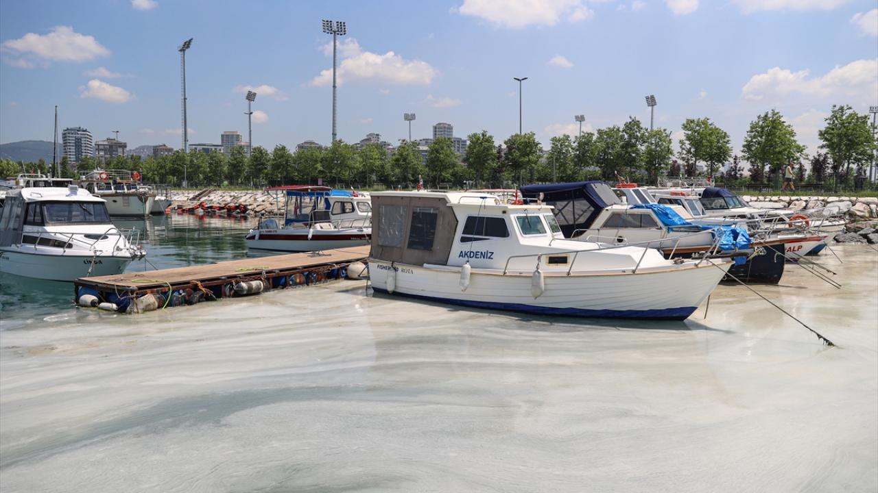 "Teknelerimize büyük hasar veriyor"