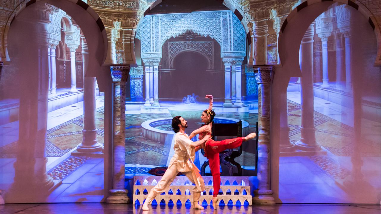 6 ilde opera ve bale gösterisi yapıldı