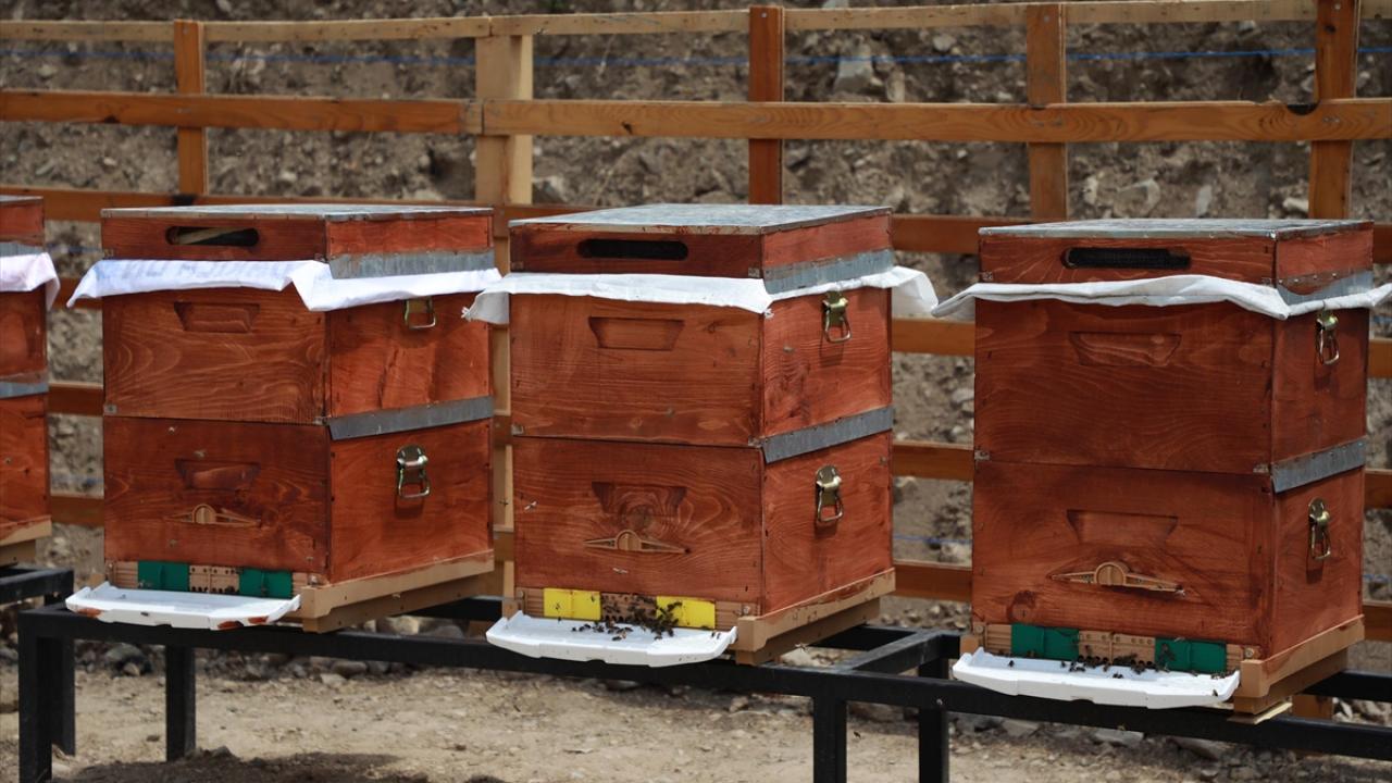 "Bandrol olmayan hiçbir ürün Anzer balı diye satılamayacak"