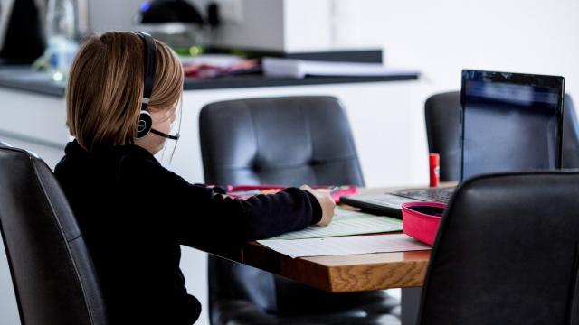 18 milyon öğrencinin karneleri erişime açıldı