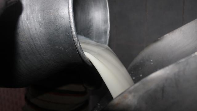 Soğutulmuş çiğ süt tavsiye fiyatı belirlendi