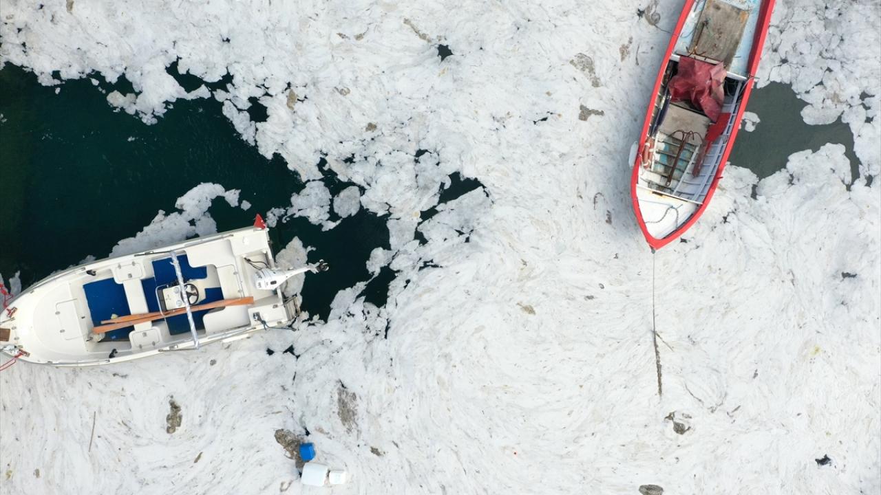 Tarihi Gelibolu Yarımadası sahillerindeki müsilaj yoğunluğu