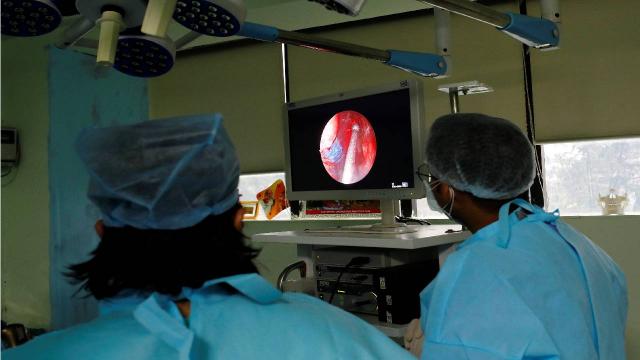 Dünyayı kara mantar korkusu sardı