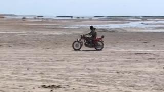 Kazakistan’da olağanüstü kuraklık: 2 bin büyükbaş hayvan telef oldu