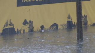 Hayatta kalmak için çırpınan kediyi kurtaran yardım