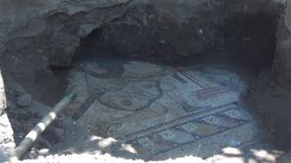 Gaziantep'te bulunan mozaikler tarihe ışık tutuyor