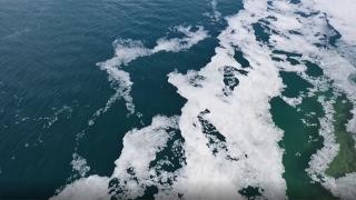 Çanakkale kıyıları müsilajla kaplandı